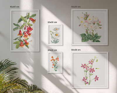 Gallery wall Floral botanical motifs