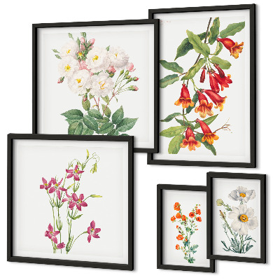 Gallery wall Floral botanical motifs
