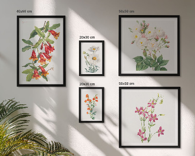Gallery wall Floral botanical motifs