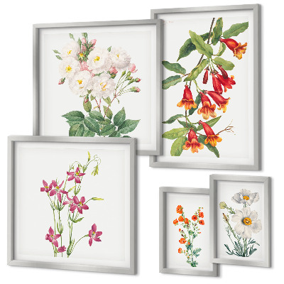 Gallery wall Floral botanical motifs