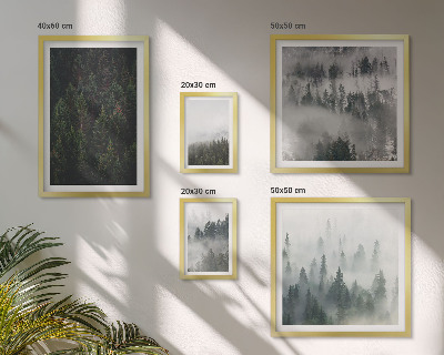 Gallery wall Green forests of misty landscapes