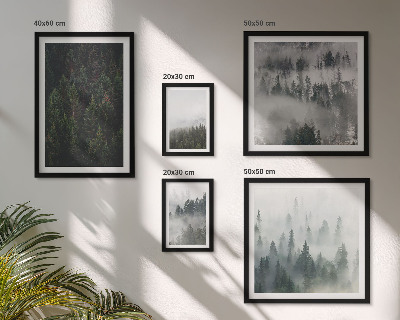Gallery wall Green forests of misty landscapes