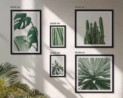 Set of 5 wall art pieces Green tropical indoor plants
