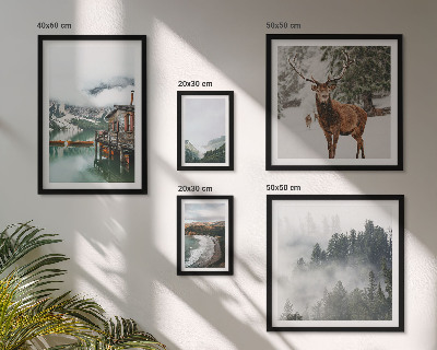 Set of 5 wall art pieces Nature wildlife mountains
