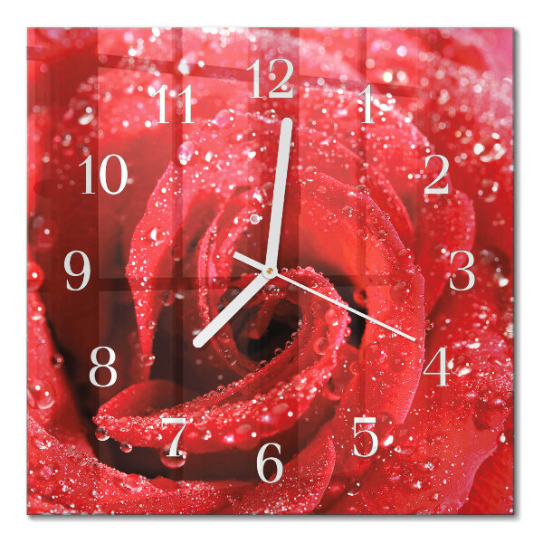 Square kitchen clock Rose