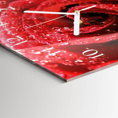 Square kitchen clock Rose
