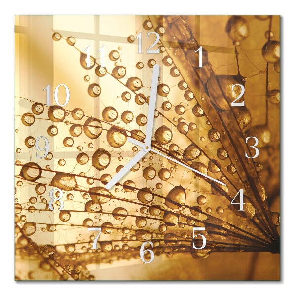Glass wall clock square Dandelion