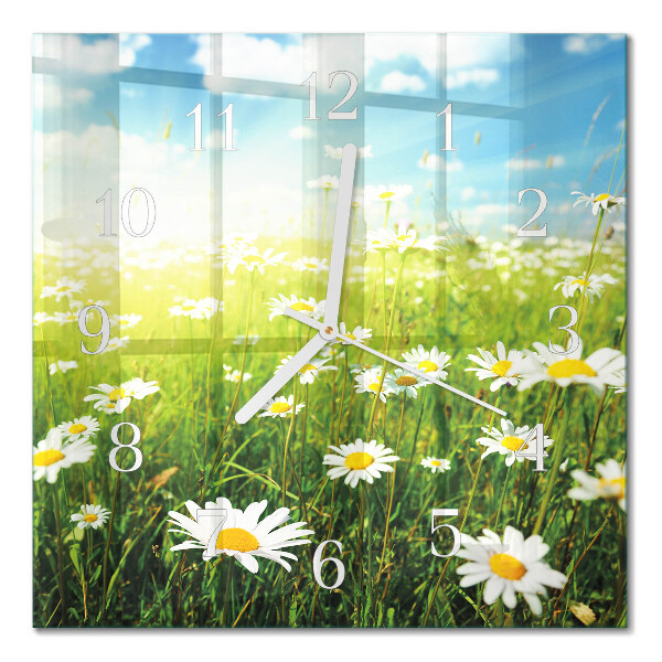 Square kitchen clock Daisies
