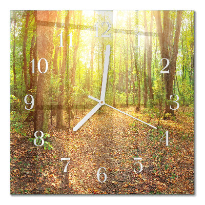 Glass wall clock square Forest path