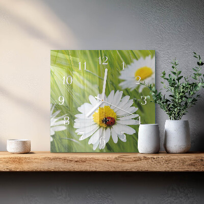 Square kitchen clock Daisies