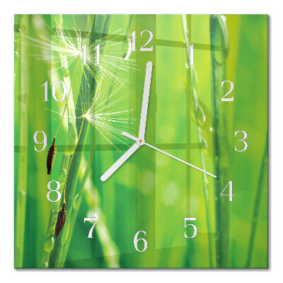 Square wall clock Grass