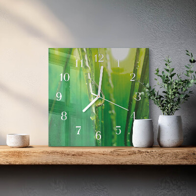 Square kitchen clock Drops on the grass