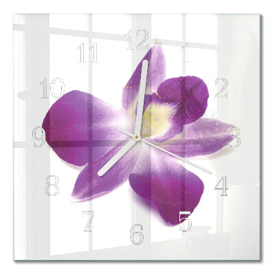 Square wall clock Orchid flower