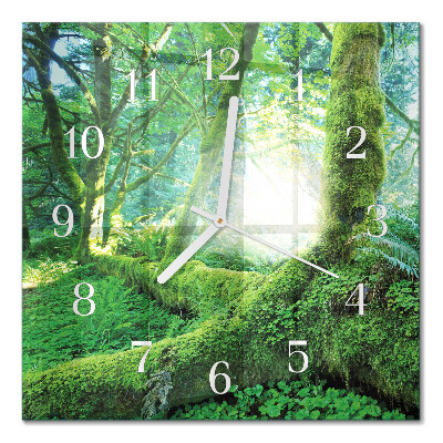 Glass wall clock square Forest moss