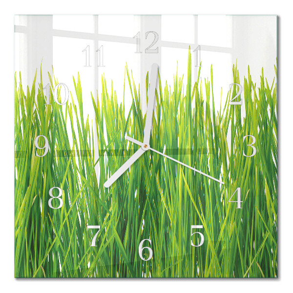 Square wall clock Grass