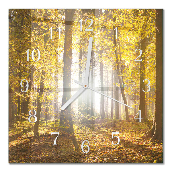Square kitchen clock Autumn in the forest