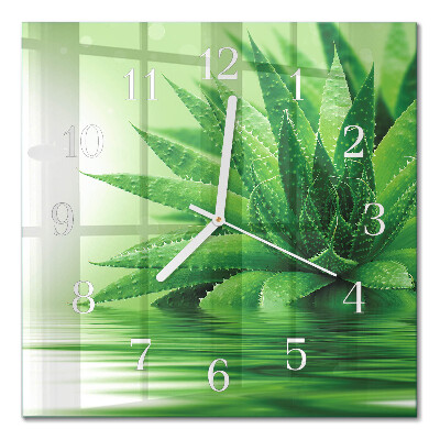 Square kitchen clock Aloe