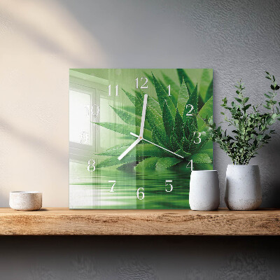 Square kitchen clock Aloe