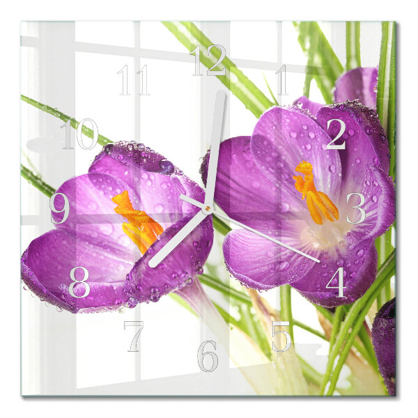 Square wall clock Crocuses