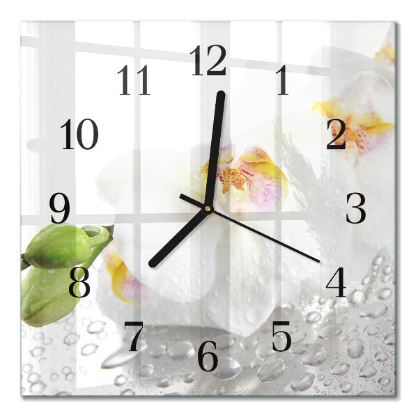 Square wall clock Orchid