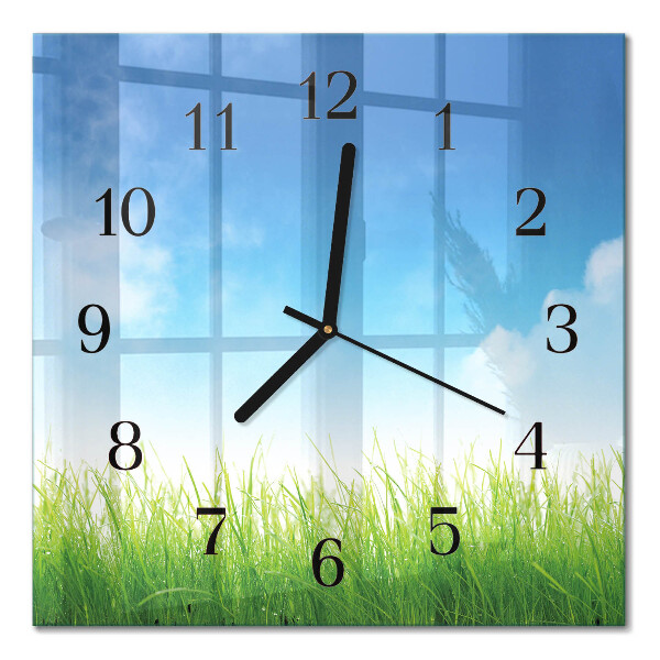 Glass wall clock square Grass