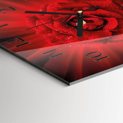 Square kitchen clock Rose