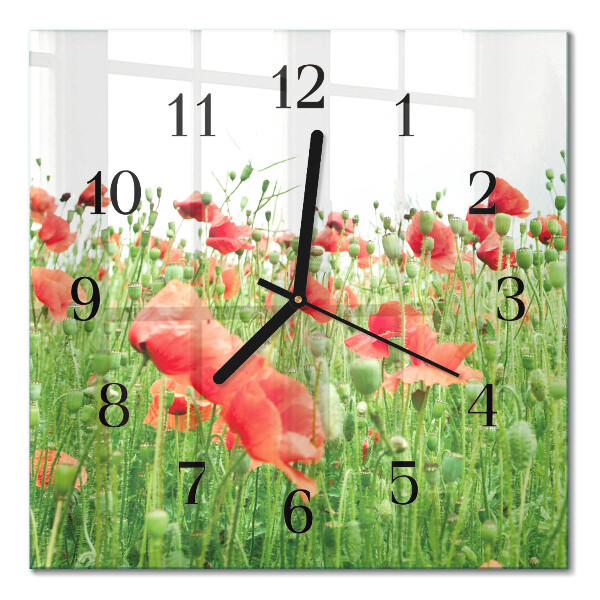 Square wall clock Poppies