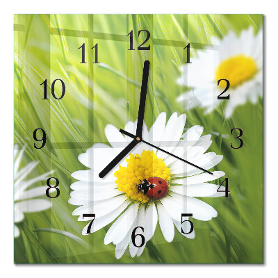Glass wall clock square Daisies