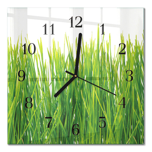 Glass clock square Grass