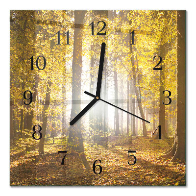 Glass wall clock square Autumn in the forest