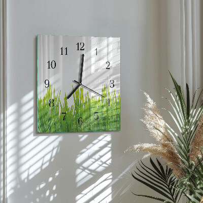 Square wall clock Grass
