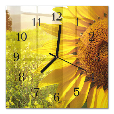 Glass wall clock square Sunflower