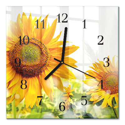 Square kitchen clock Sunflower