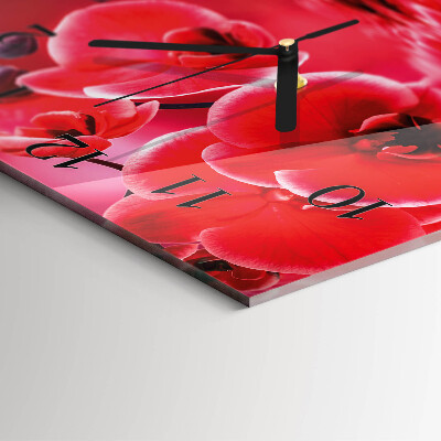 Square kitchen clock Orchid