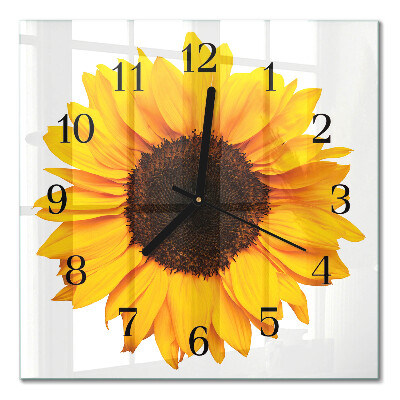 Glass wall clock square Sunflower