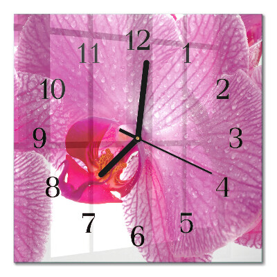 Square kitchen clock Orchid