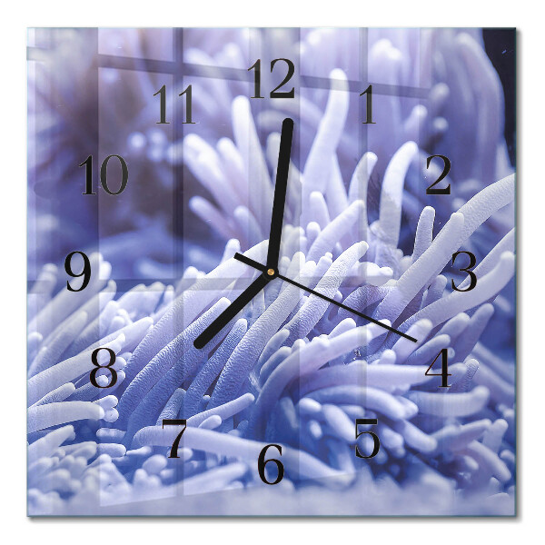 Square kitchen clock Anemone
