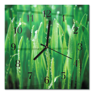 Glass wall clock square Green grass