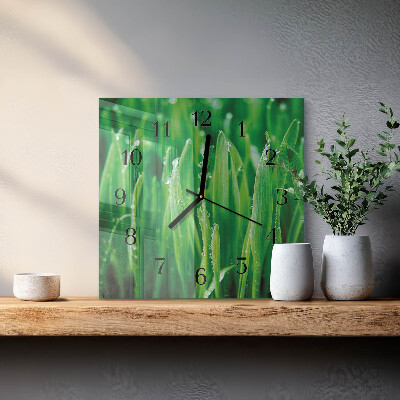 Glass wall clock square Green grass