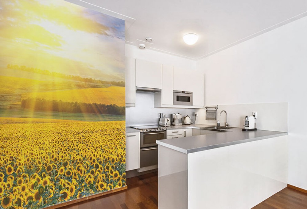 A kitchen wall without renovation