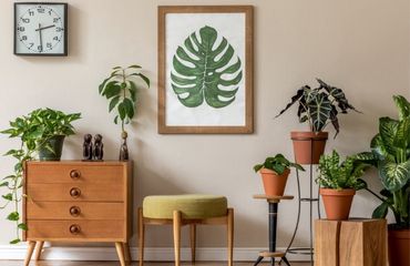 How to decorate your home in urban jungle style? Urban jungle with no secrets