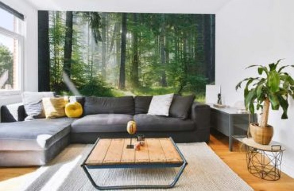 Living room wallpaper - how to choose the perfect design and create a unique space
